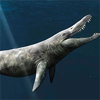 Mất tích 152 triệu năm, "T-rex đại dương" hiện ra bất ngờ giữa bảo tàng