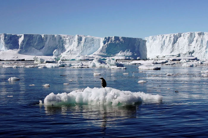 Phát hiện "thế giới khác" ẩn sâu hàng nghìn mét dưới lớp băng ở Nam Cực
