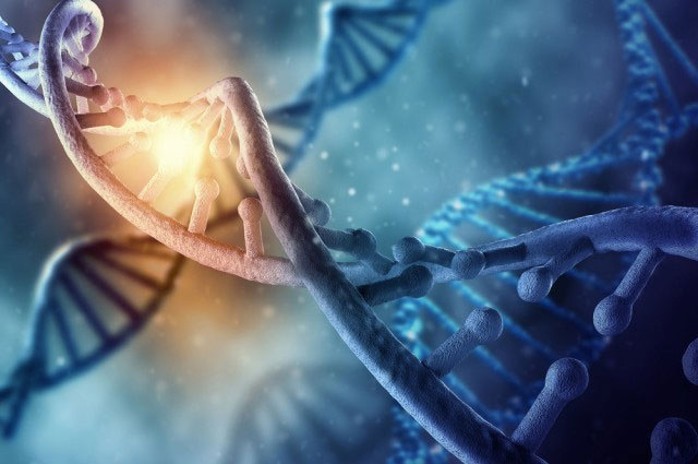 Phát hiện mới về DNA người