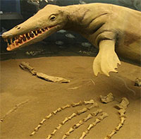 Phát hiện "quái vật khổng lồ" cổ đại có răng giống tuốc nơ vít