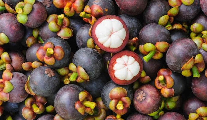 Mangosteen