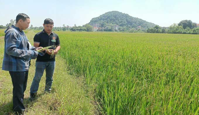 Kỹ sư 