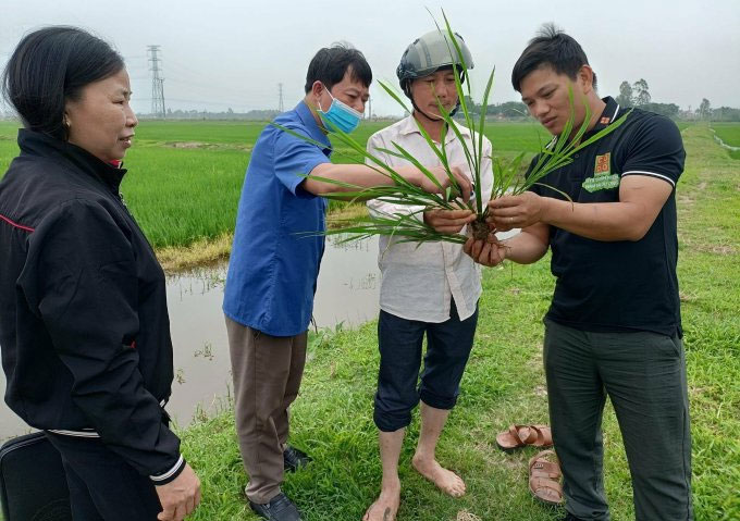 Kỹ sư 