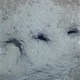 Tìm ra thủ phạm tạo hố bí ẩn ở đáy biển giữa Nga và Alaska