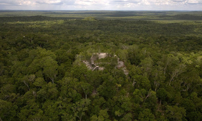 Các nhà khoa học Mỹ phát hiện hệ thống "đường cao tốc" 3.000 năm tuổi ẩn mình trong rừng