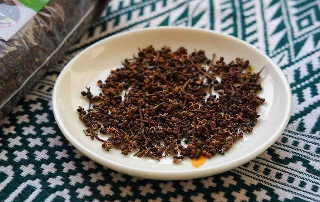 Phát hiện chất chống ung thư từ loại gia vị phổ biến ở miền Bắc