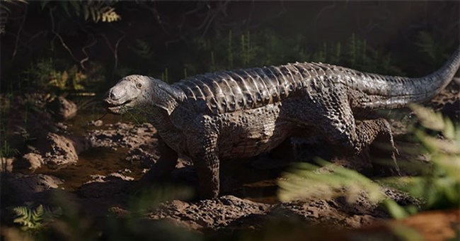 Con người từng phát hiện ra những sinh vật tiền sử kỳ lạ nào?