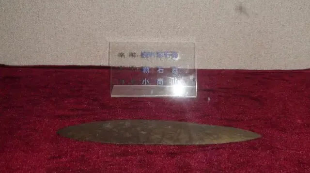 Chiếc lá hơn 6.000 năm tuổi hiện đang được trưng bày tại Bảo tàng tỉnh Hắc Long Giang.