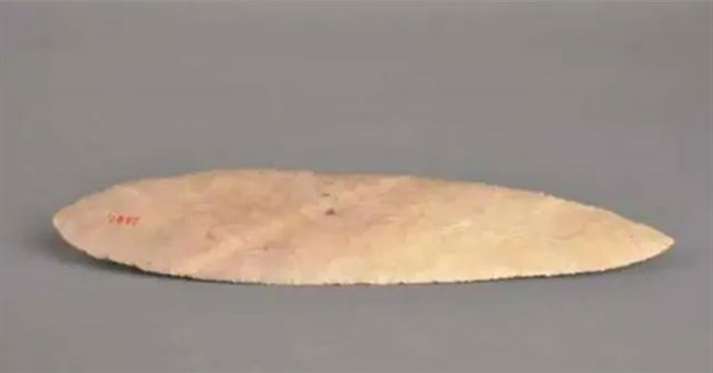 Cậu học sinh nhặt được chiếc lá, chuyên gia khảo cổ tuyên bố “đây là bảo vật vô giá”