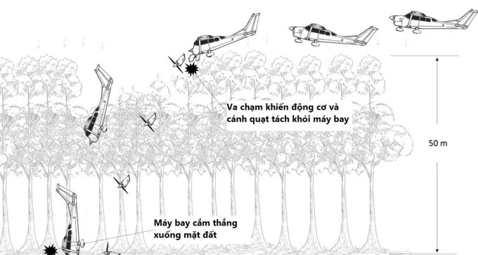 Vị trí ngồi giúp 4 trẻ em sống sót khi máy bay rơi trong rừng Amazon