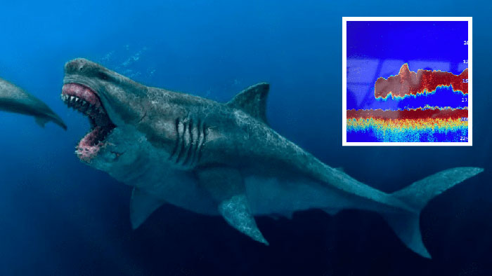Điều gì sẽ xảy ra nếu cá mập Megalodon chiến đấu với loài trăn khổng lồ Titanoboa?