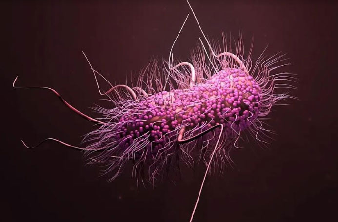 Hình ảnh đồ hoạ một siêu vi khuẩn kháng thuốc kháng sinh.