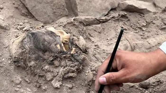 Xác ướp 3.000 năm tuổi được phát hiện trong bãi rác ở Peru