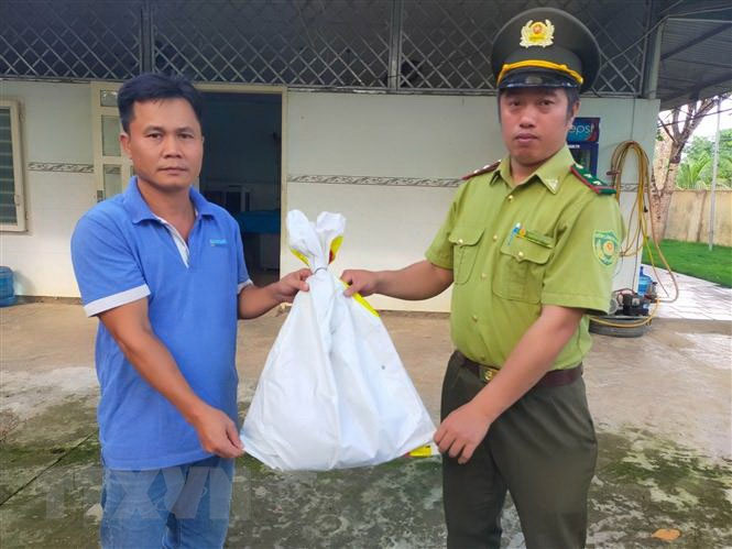Phát hiện một cá thể diều hoa Miến Điện quý hiếm ở Bình Phước