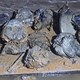 Trung Quốc tìm ra "kho báu" chôn đúng Tết Đoan Ngọ
