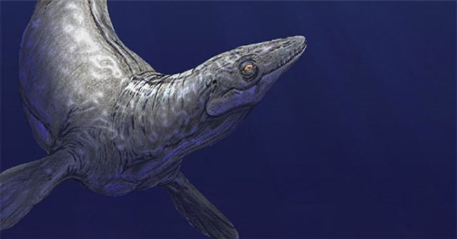 Thủy quái lạ 94 triệu tuổi "trồi lên" giữa công viên quốc gia