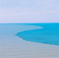 Xôn xao hiện tượng nước biển Sầm Sơn đổi màu