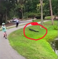 Video: Đang câu cá, người đàn ông bất ngờ bị cá sấu lao lên tấn công