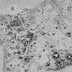 Quét laser, hàng trăm “bóng ma” Maya 1.800 tuổi hiện ra giữa rừng
