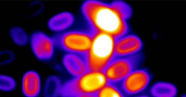 "Chất rắn ngậm nước" làm rung chuyển giới khoa học