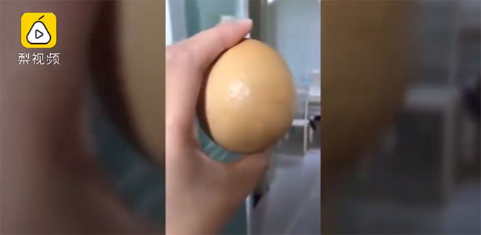 Dị vật bên trong con gà.