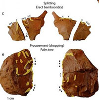 Philippines phát hiện "vật lạ" 40.000 tuổi làm đảo lộn lịch sử nhân loại