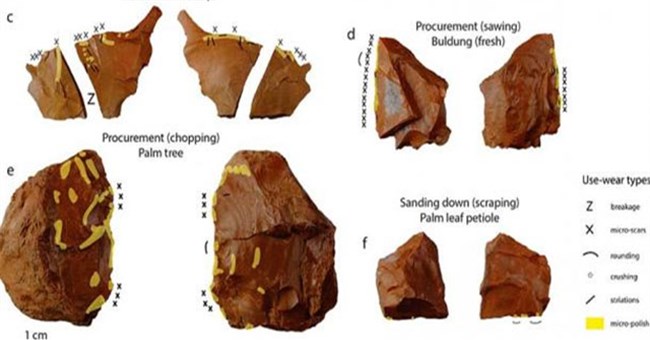 Philippines phát hiện "vật lạ" 40.000 tuổi làm đảo lộn lịch sử nhân loại