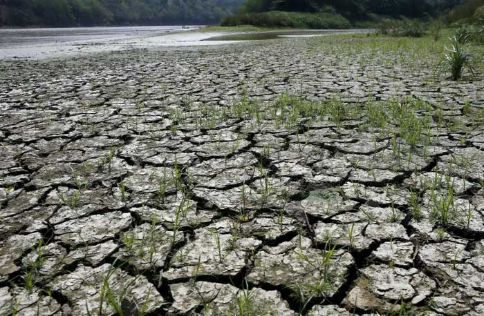El Nino lần này đáng sợ tới mức nào?