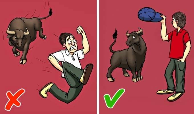 43 bí kíp sinh tồn có thể tự cứu mạng bạn mỗi khi 