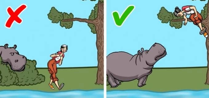 43 bí kíp sinh tồn có thể tự cứu mạng bạn mỗi khi 