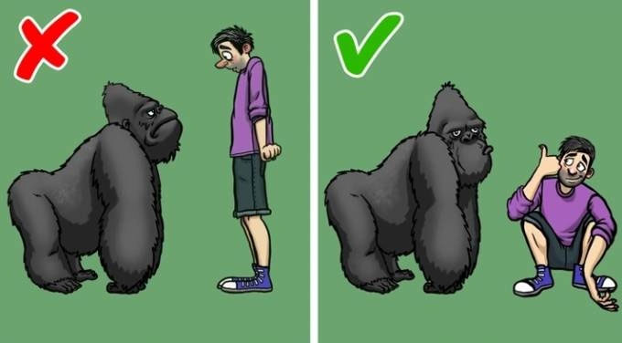 43 bí kíp sinh tồn có thể tự cứu mạng bạn mỗi khi 
