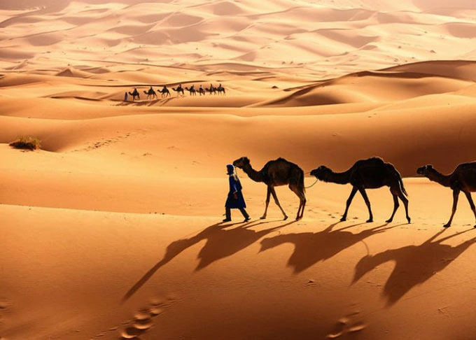 Con người đã và đang sinh sống tại các sa mạc từ hàng thiên niên kỷ.