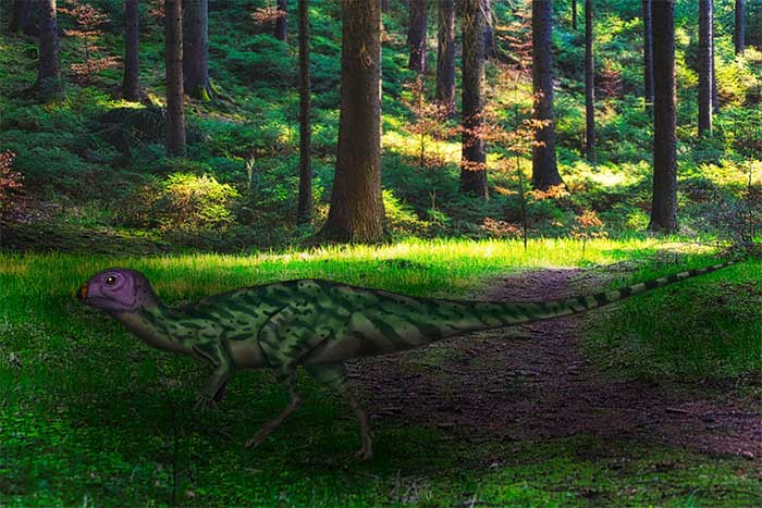 Minimocursor phunoiensis giữa rừng rậm Thái Lan 145 triệu năm trước