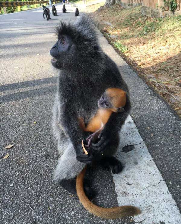 Con người chính là nguyên nhân khiến cho 