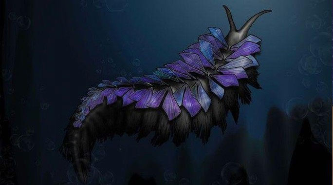 Shaihuludia shurikeni described as an extraterrestrial creature