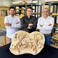 Ai Cập phát hiện hóa thạch loài cá voi tuyệt chủng cách đây 41 triệu năm