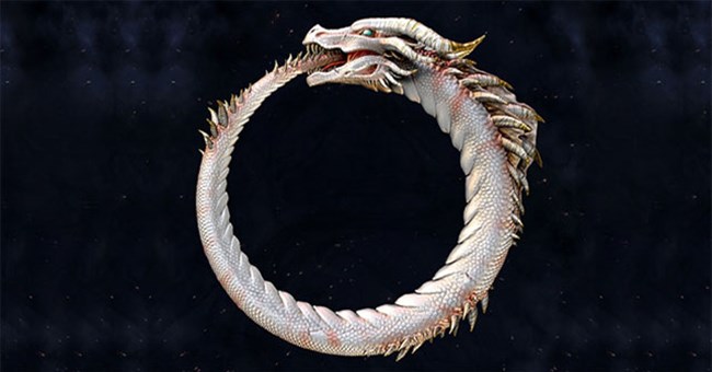 Những thước phim rắn tự ăn thịt chính mình