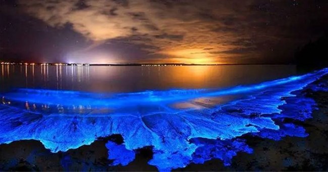 Bí ẩn về hiện tượng biển sao của Maldives