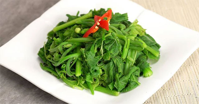 Giá trị dinh dưỡng và lợi ích đối với sức khoẻ của rau bí - KhoaHoc.tv