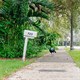 Đau đầu vì tiếng kêu của loài vật đẹp như phượng hoàng, người dân Mỹ nhất quyết đòi triệt sản 