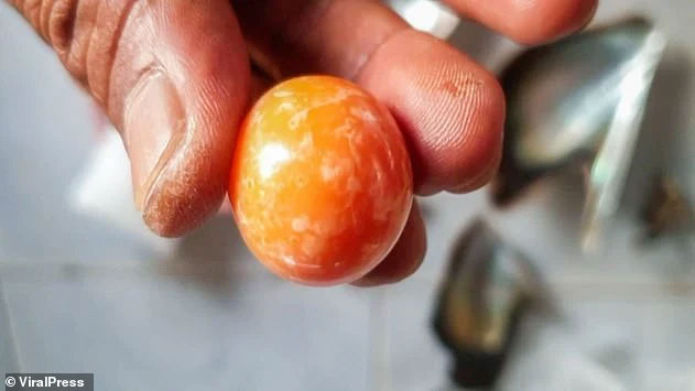 Mua ốc về nhậu, người đàn ông bất ngờ đổi đời nhờ nhặt được vật lạ màu cam