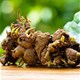 Nghiên cứu đột phá từ Nhật: Loại củ cực phổ biến ở Việt Nam có tác dụng ngăn ngừa ung thư