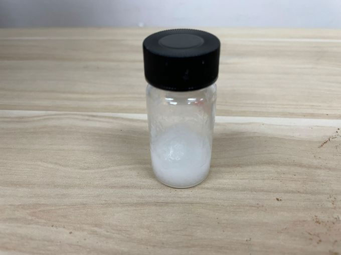 Thạc sĩ Việt tạo khung xương nhân tạo từ vỏ tôm và rong biển
