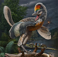 Phát hiện “thần điểu" giống khủng long bạo chúa T-rex