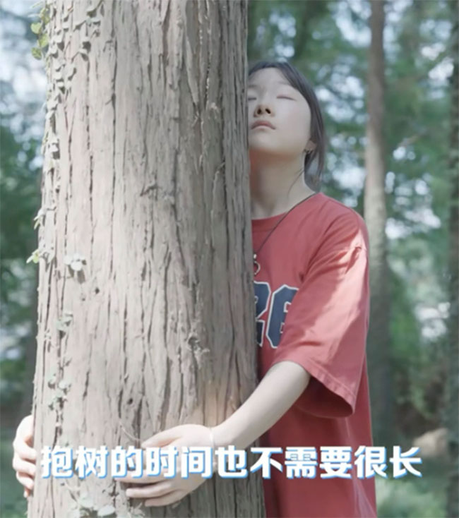 Người tham gia ôm cây có thể làm điều này từ vài phút, cho đến vài giờ miễn là thoải mái
