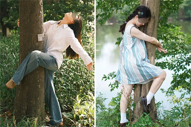Ôm cây để giải tỏa căng thẳng, lo âu. 