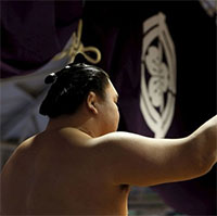 Vì sao các Sumo Nhật Bản được gọi là "người béo phì khỏe mạnh"? - Câu trả lời cực bất ngờ!