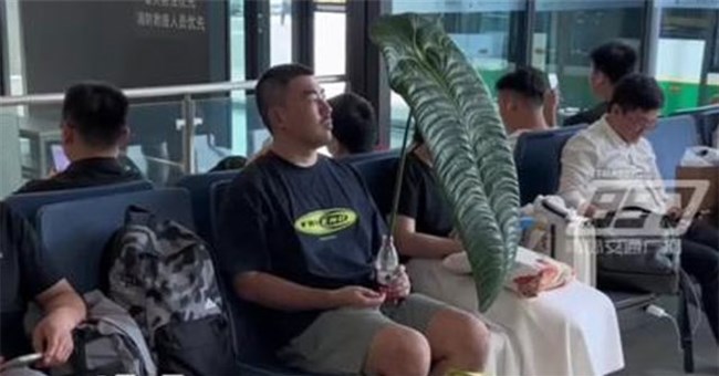Bị mỉa mai vì ôm chiếc lá lên máy bay, chàng trai khiến mọi người sốc khi tiết lộ "lai lịch" của nó