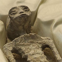 Hoá thạch 1.000 năm tuổi của "người ngoài hành tinh" được đưa ra Quốc hội Mexico