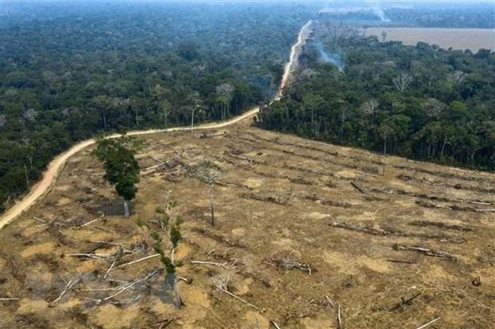 Sự thèm ăn của con người khiến hành tinh sắp hết ngưỡng chịu đựng